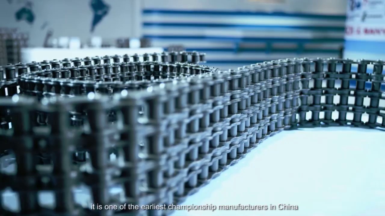 ISO16949:2009 Approved Industrial Conveyor Chain Factory