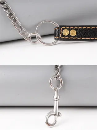 Adjustable Stainless Steel Chain Dog Leash