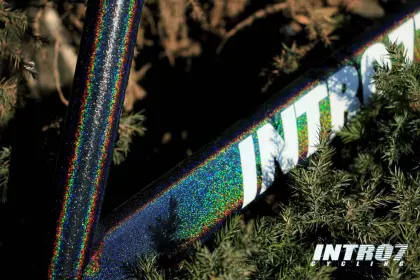 Fixed Gear Bikes Colorful 700C Bicycle