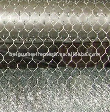 Galvanized Hex Wire Net(Electro &Hot Dipped)