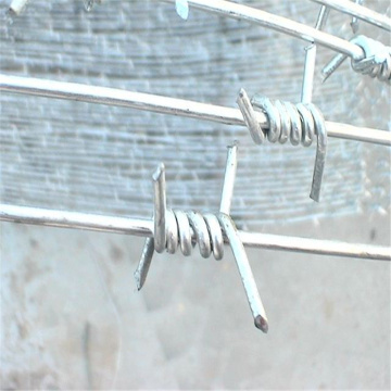 200 Meters Galvanized Barbed Wire BWG16 - Customizable Specifications for Sale