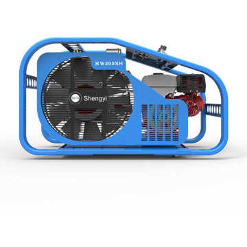 High-Pressure PCP Electric Air Compressor for Scuba Diving & Firefighting - 300 Bar