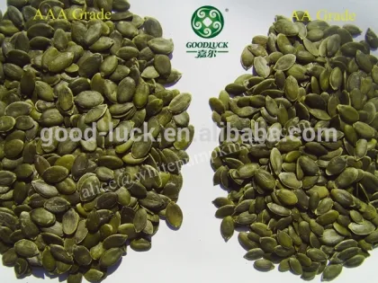 Styrian Type GWS A, AA, AAA Pumpkin Seeds                        
                                                Quality Choice