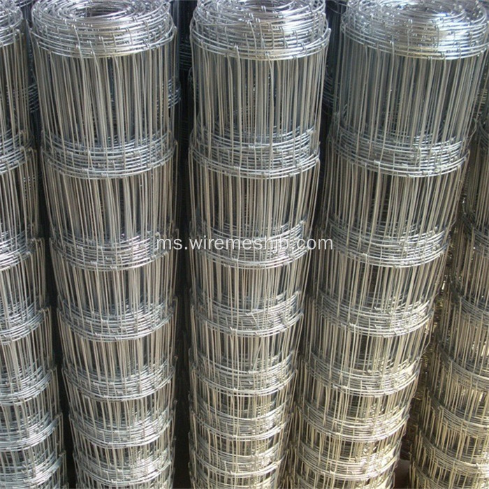 Rangkaian Kraal Tergalvani Tinggi 1.8Mx50M Dail Galvanized