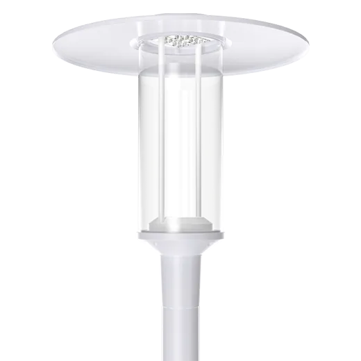 100W Outdoor Solar Powered Garden Light