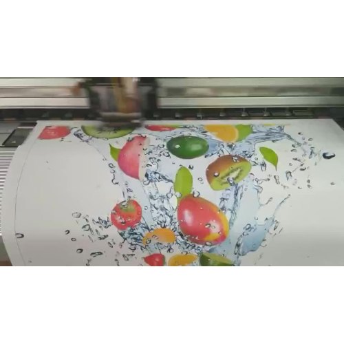 Eco Solvent Printing Canvas Polyester Inkjet Fabric Roll