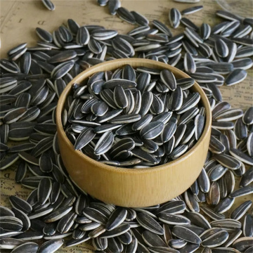 Best Quality Sunflower Seeds Type 601