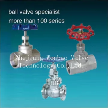 BSP Thread Stainelss Steel Globe Valve,thread type globe valve pn16