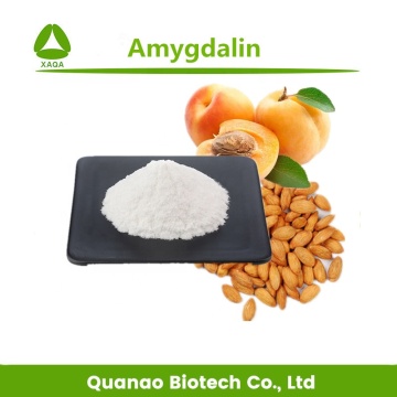 Amygdalin 98% Bitter Apricot Seeds Extract VB17 Powder