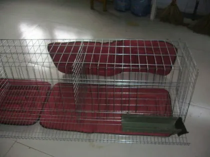 Chicken Wire Mesh/rabbit fence/animal fence(factory price)