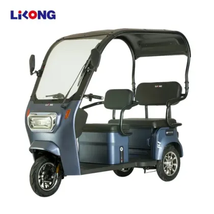 Lilong City Electric Bike E-Bike E Battery