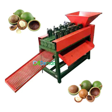 Grüne Macadamia -Schälmaschine: Schale und Hautentfernung