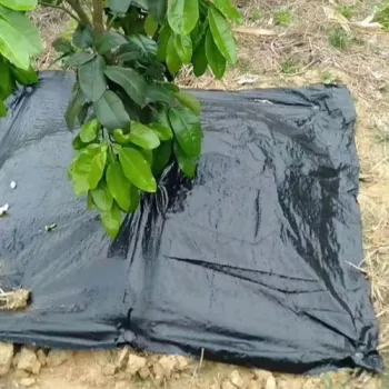 2024 Hot Sale PE/PP Weed Mat - Anti-UV Landscape Fabric for Greenhouse & Garden Beds