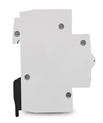 SASSIN MCB Miniature Circuit Breaker 100A 1P+N High Quality