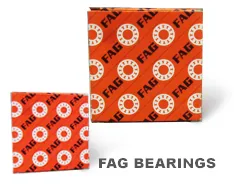 FAG BEARING