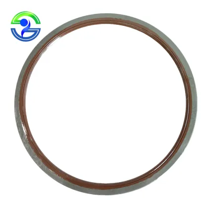 Custom Size TB TA SB SA Automobile Pump Iron Shell Framework Oil Seal