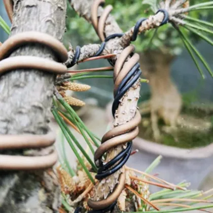 Black Aluminum Bonsai Training Wire - Bonsai Supplies