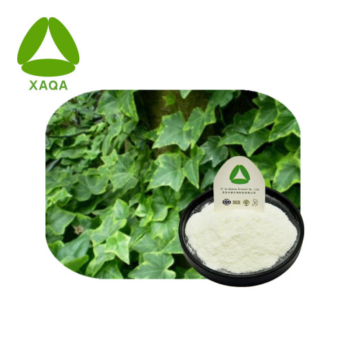 Hedera Helix Ivy Leaf Extract 98% Hederagenin Powder