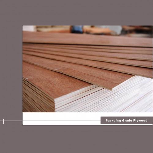 First Class Packaging Plywood 12 Mm