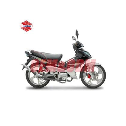Wholesale Hot Selling Gasoline Cruiser Motorcycles