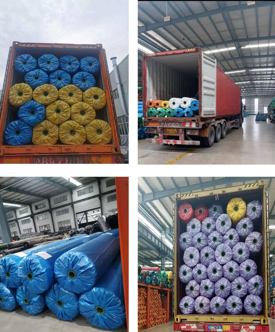 7d7e3827fa973dba3a0c1e7bfc313d29_0