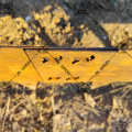 Verrostete Patina Corten Stahlgartenlandschaftsgestaltung