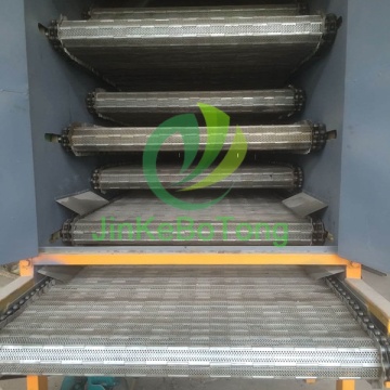 Efficient Mesh Belt Drying System for Longevity