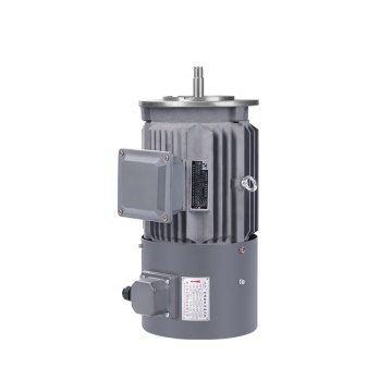High Efficiency AC Induction Motor 45-90kw 380V 3000rpm 200Hz 3 Phase VFD