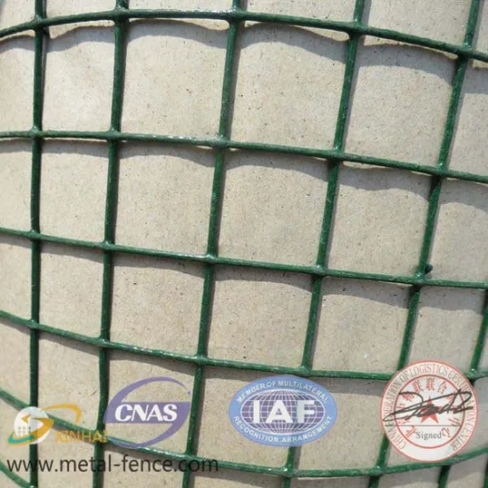 Powder coated welded metal wire mesh (hot sale)