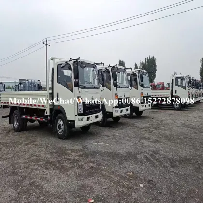 HOWO 8T Goods Transport Vehicle Small Logistics Vehicle