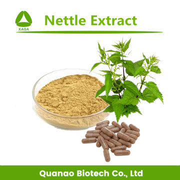 Top Quality Nettle Leaf Extract Powder 10:1