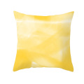 Factory Direct Sale large grain corn-kernels pillow cover