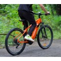 /msite/products/detail/productid/63684267/id/1510864.html