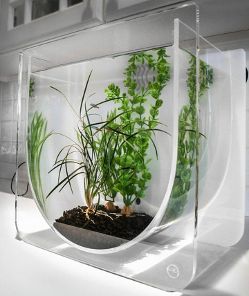 customized small acrylc fish tank