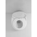 Sanitary Ware One Piece Toilet Siphonic/wash down Flushing