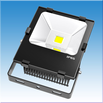 LED FLUTER بقيادة 50W WHARD WHITE IP65