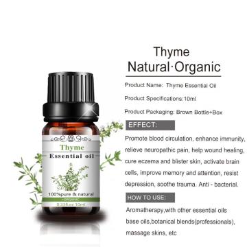 100% Pure Grade Wholesale Natural Organic Fresh Thyme Essential Oil at Competitive Price