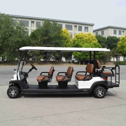 8-seater pure electric golf cart