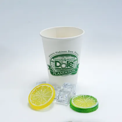 Popular PE Coated Ningbo Paper Cups for Sale