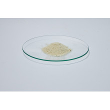 Competitive Price Soybean Lecithin powder