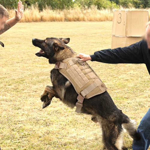 Gilet per cablaggio personalizzato per cablaggio per cani tattico con guinzagli