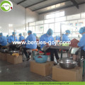 Approvisionnement en usine Fruits Nutrition Fruits séchés Goji Baies