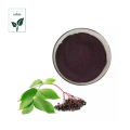 Organische Elderberry -Extrakt von höchster Qualität