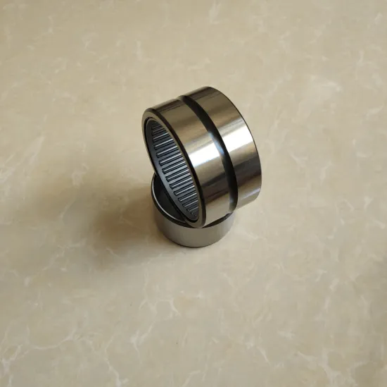 BR Entity Bushed Needle Roller Bearing