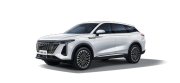 2025 EXEED Yaoguang 400T Tanlu Edition
