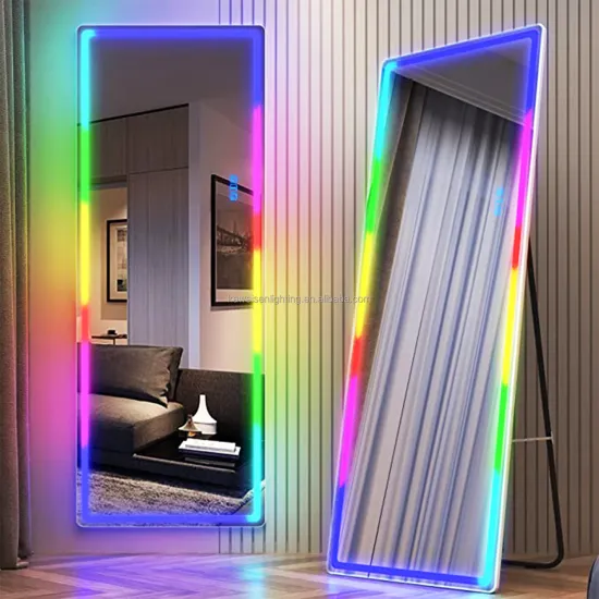 65x22 Full Body Mirror: A Versatile Lighted Design with RGB Lights and Dimmability, Suitable for both Floor and Wall Mounting