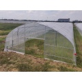 گلخانه کوچک شیروانی تک دهانه