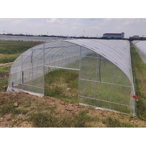 Small Gable Single Span Greenhouse