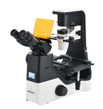 FL-630T Fluorescence Microscope: Best Price, High Quality, 0°-35° Ergo Viewing Head