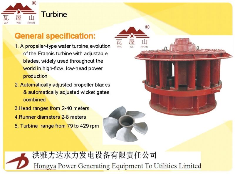 Hydro Power Turbine/ Kaplan Turbine Generating